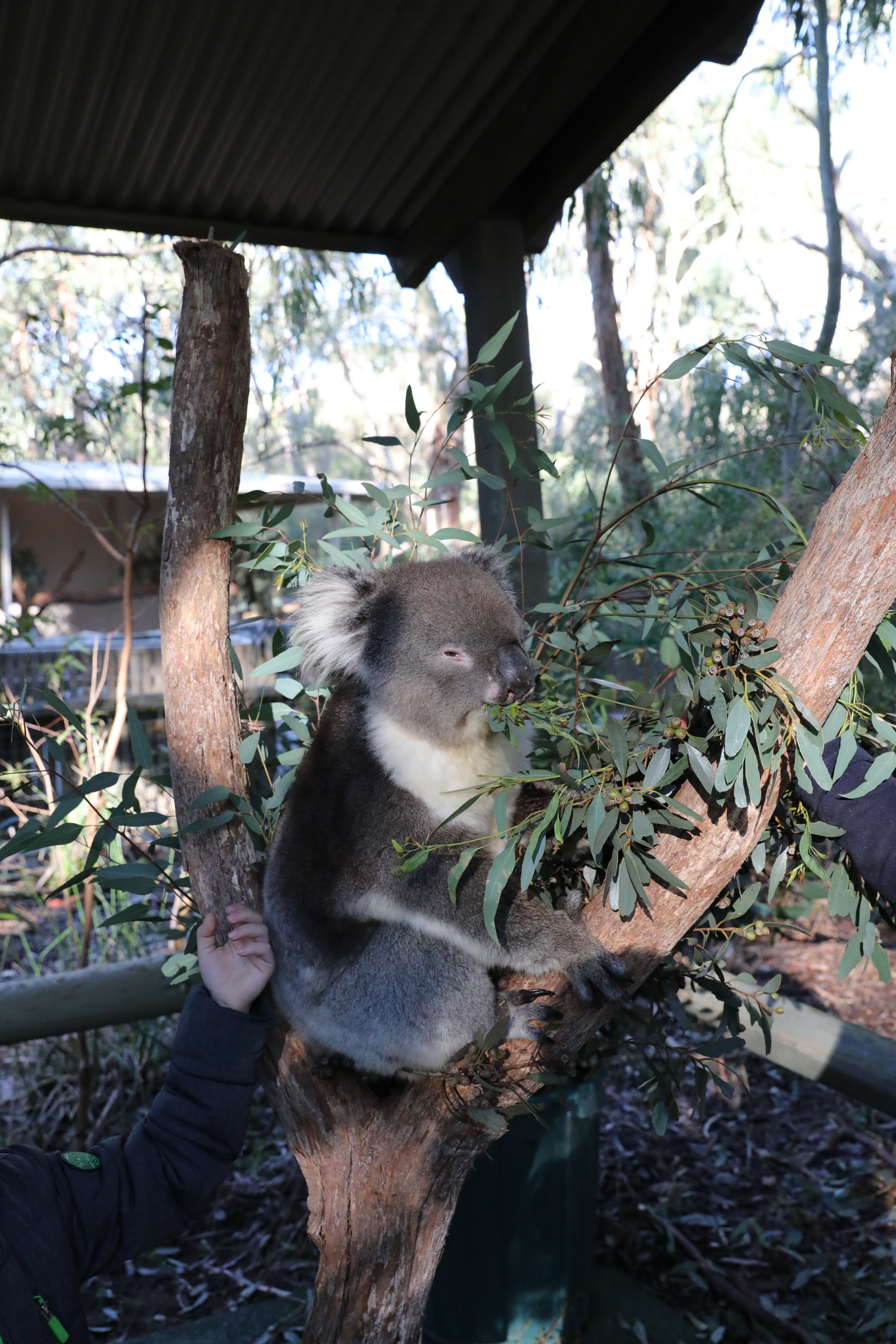 2019 07 19 15 12 51 Canon EOS 5D Mark IV 0031